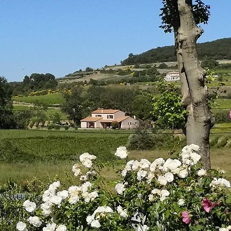 Domaine De Peilhan Roujan Buitenkant foto