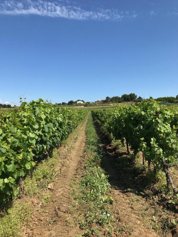 Domaine De Peilhan Roujan Buitenkant foto
