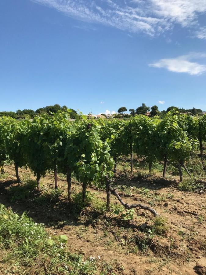 Domaine De Peilhan Roujan Buitenkant foto