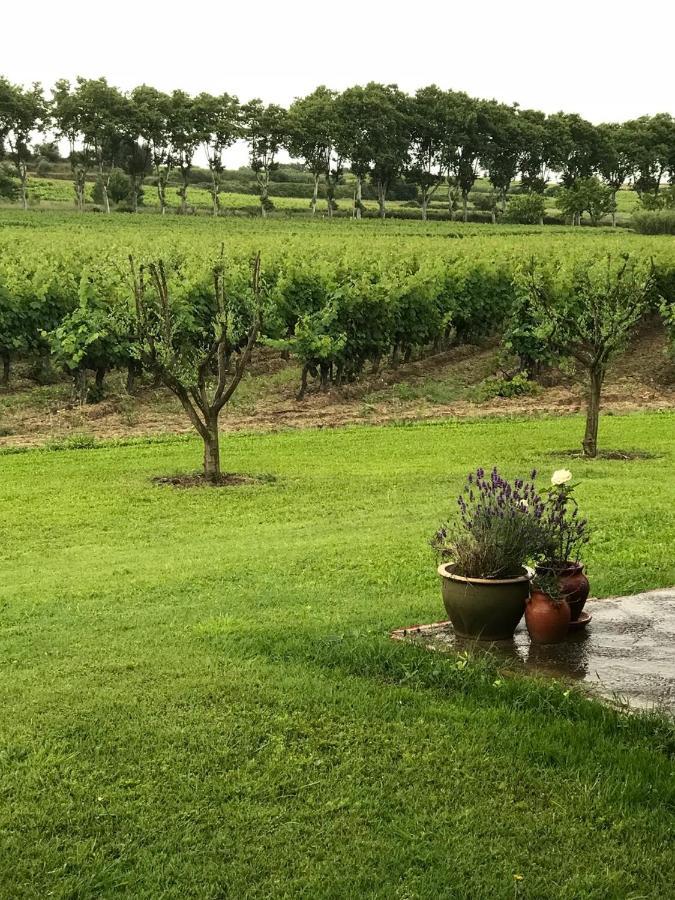 Domaine De Peilhan Roujan Buitenkant foto