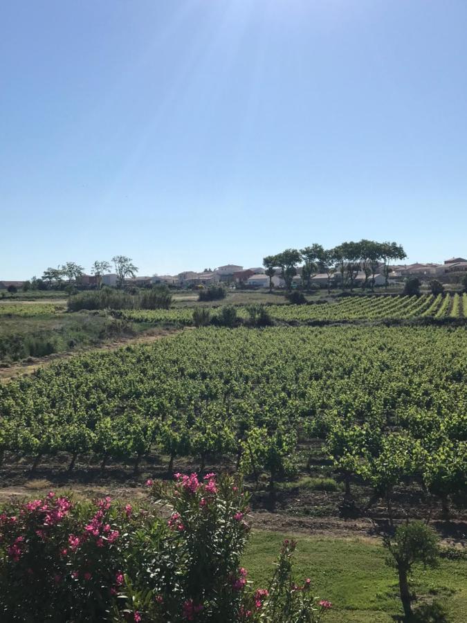 Domaine De Peilhan Roujan Buitenkant foto